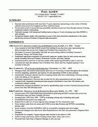 Best Resume Summary Examples Free Letter Templates