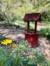 Niguel Botanical Preserve South Oc Moms