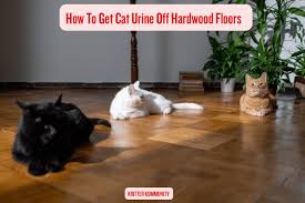 Cat Urine Off Hardwood Floors