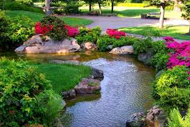 Low Water Zen Garden Design Considerations