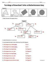 Dichotomous Key And Flowchart Lesson And Project
