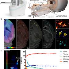 preclinical hybrid pet imaging devices