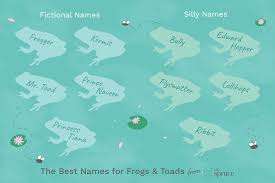 So, techspirited has got you some cool and funny usernames for roblox. 100 Names For Pet Frogs And Toads