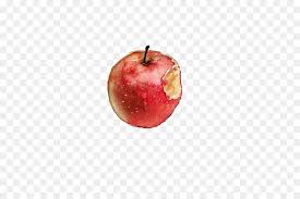 Gambar sketsa buah apel merah dapatkan link; Lukisan Cat Air Apple Auglis Gambar Png