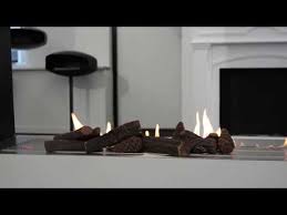 Ceramic Logs Or Bio Ethanol Fireplaces