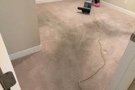 top rated carpet cleaning in palm beach