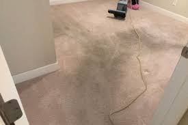 Top Rated Carpet Cleaning In Palm Beach