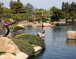 Japanese Garden Beautifies Los Angeles