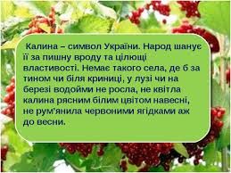 Оголошення про продаж вживаних автомобілів ваз калина бв в україні. Kalina Simvol Krasi Ta Divochoyi Vrodi Prezentaciya Z Ya I Ukrayina