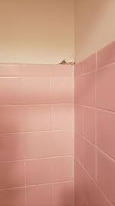 However, by simply painting over ceramic tiles, you save a great deal on time and money while enhancing the look in your bathroom. Can I Paint Over The Tile Walls And Cement Base In My Shower Hometalk