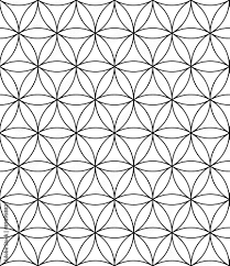 vector modern seamless pattern flower