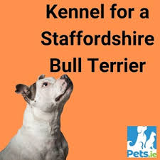 kennel for a staffordshire bull terrier