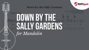 the sally gardens tenor banjo tab
