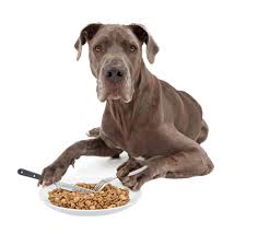 Puppy food or growth formulas are not necessary for great dane puppies. The Ultimate Guide To What Great Danes Can And Can T Eat Embora Pets