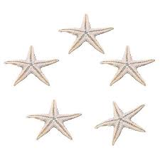 100 Pieces Natural Starfish Ss