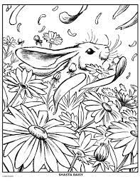 Search through 623,989 free printable colorings at getcolorings. Daisy Flower Crayola Com
