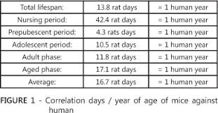 Rats Age Versus Humans Age What Is The Relationship