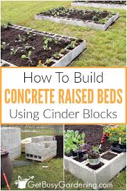 Raised Garden Beds Cinder Blocks