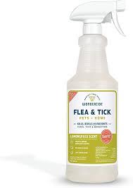 19 best natural flea treatment for dogs