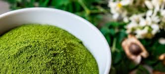 moringa benefits powder tea dosage