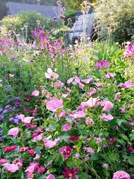 Perfect Pink And Purple Plant Combinations