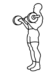 Resultado de imagem para desenho de musculação