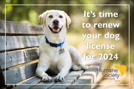 dog licensing information humane