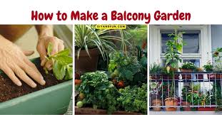 How To Make A Balcony Garden Diy And Fun