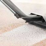 auckland steam n dry carpet cleaning