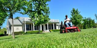 Lawn Mowing Mistakes Youâ Re Making
