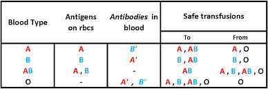 Efficient Blood Type Antigen Chart Blood Type Antigens
