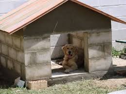 No existe un tamaño de casa estándar para cada tipo de perro, lo que debes tener en cuenta es. Pin On Tips Y Mas