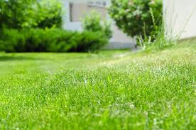 Coring aerator versus spiking aerator. How To Keep Your Perth Lawn Green In Winter Winter Lawn Tips