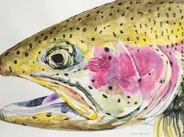 rainbow trout expression wadeoutthere