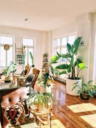 30 Small Living Room With Plant Ideas