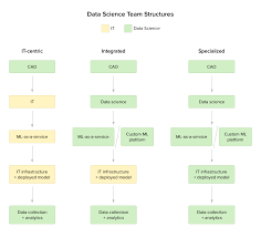 How To Structure A Data Science Team Key Models And Roles