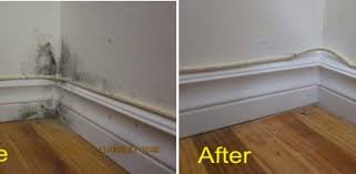 Cold Walls And Mold Growth The Mold Guy