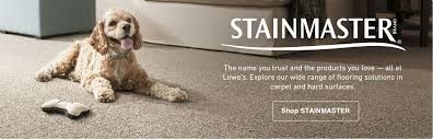 This means you can lift and exchange small sections of the carpet, should staining or wear affect its appearance. Stainmaster Carpet At Lowe S