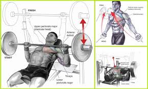 Five Best Chest Exercises Gym Workout Chart Gym Work Out