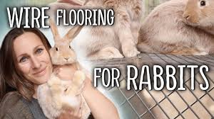 wire flooring for rabbits the truth