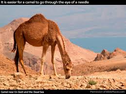 4 eye of needle gate. Should The Word Camel In Matthew 19 24 Be Thick Rope Neverthirsty