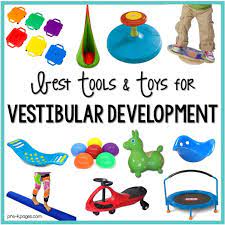 vestibular system tools and toys for
