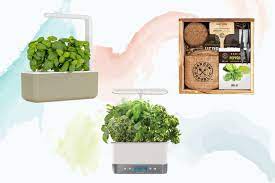 The Best Herb Garden Kits To Plant