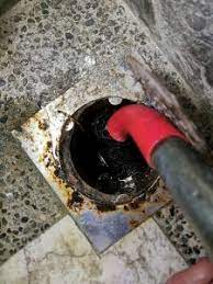 clear drain or floor trap choke