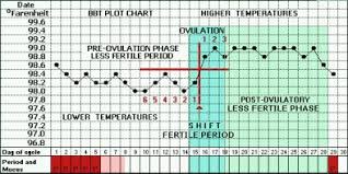 Mabis Digital Basal Thermometer Ovulation Predictor