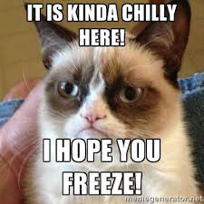 It is kinda chilly here! I hope you freeze! - Grumpy Cat | Meme ... via Relatably.com