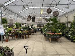 Homewood Nursery Garden Center 10809