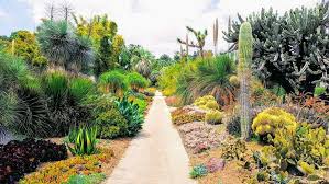 How To Create A Drought Tolerant Yard