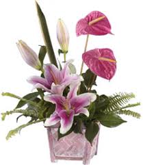 Order online order catering online. Holliday Flowers Of Bartlett Stage Rd Bartlett Tn 38133