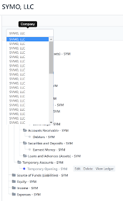 Chart Of Accounts Missing For Multi Company In V11 Bug